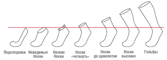 dlina_noskov 1 (1).jpg dlina_noskov 1 (1).jpg