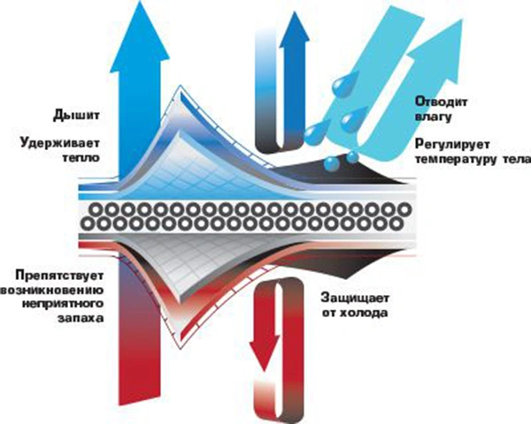 9cf0ed0c4d82cc2a4df506ae6838e348.jpg.pagespeed.ce.YPNdllxpD9.jpg