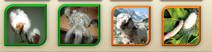 160561085010498066555fb3ad62d534a-Снимок 1 (1).jpg