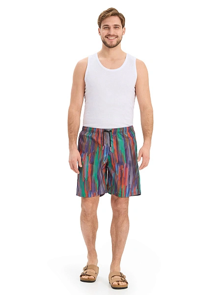 Swimwear Шорты мужские, цвет яркая полоска, фото 1