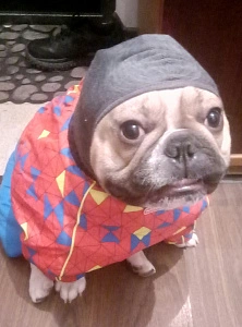 Фотография из отзыва