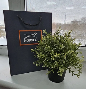 Фотография из отзыва