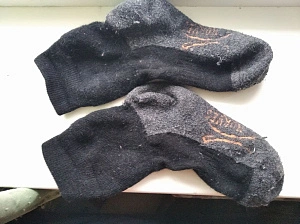 Фотография из отзыва