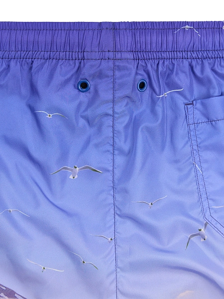 Swimwear Шорты мужские, цвет ярко-синий паттерн surf острова, фото 6