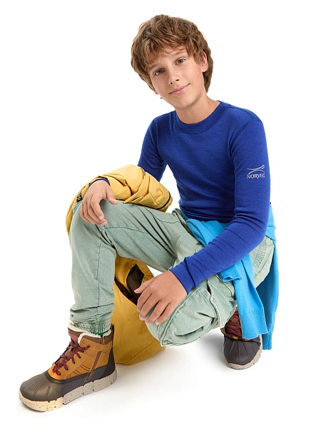 Термофутболка для мальчиков-подростков серии SOFT. Знак Woolmark, цвет синий, фото 6