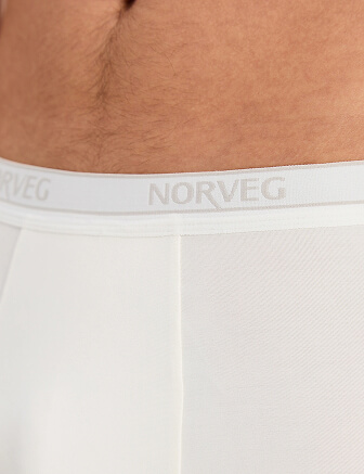 Боксеры мужские Bamboo, цвет молочный, фото 2