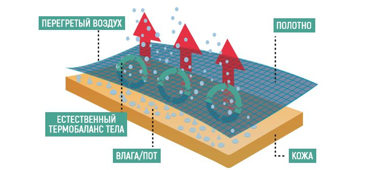 как работает.jpg