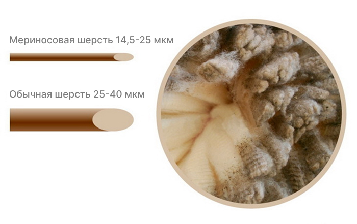 Group 1077239387.jpg