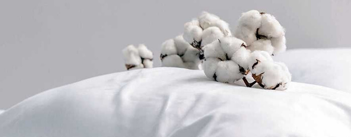 7112354257 1 (1).jpg