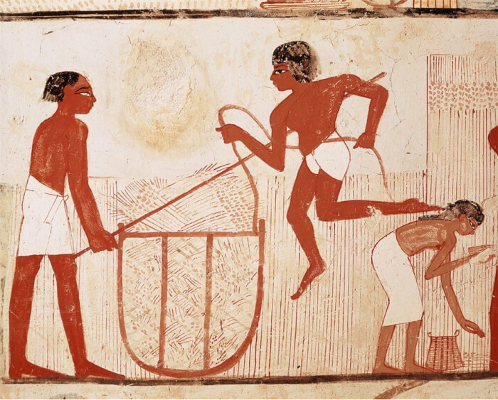 5c8425db3a53 (1).jpg