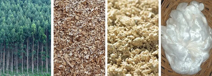 scale_1200 (8) (1).jpg