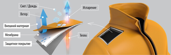 shema-membrana-02 (1).jpg