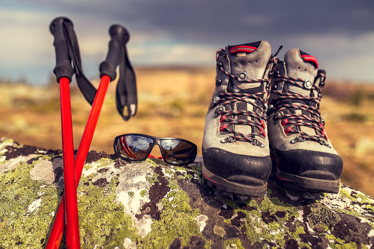 88d4ab91-b49a-4fde-8b59-a28199cc1686.jpg 88d4ab91-b49a-4fde-8b59-a28199cc1686.jpg