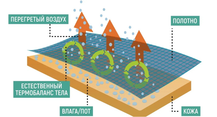 Схема-1 (1).jpg