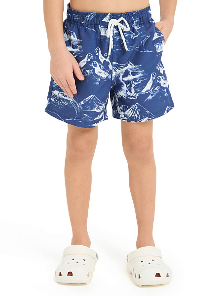 Шорты Swimwear для мальчика, цвет синий, фото 2