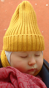 Фото из отзыва 6