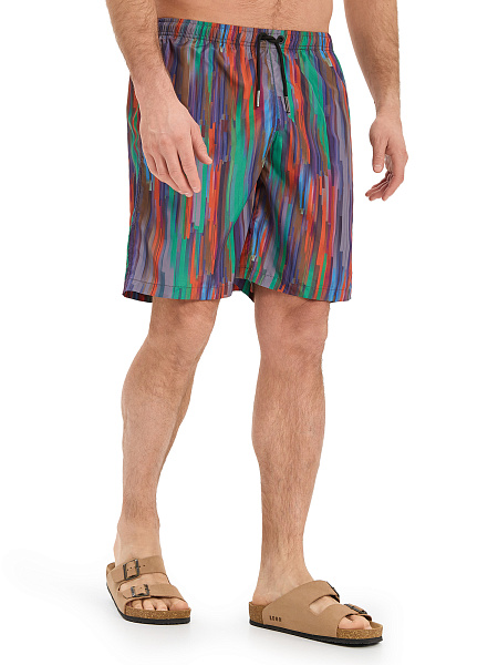 Swimwear Шорты мужские, цвет яркая полоска, фото 2