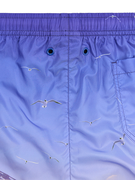 Swimwear Шорты мужские, цвет ярко-синий паттерн surf острова, фото 6