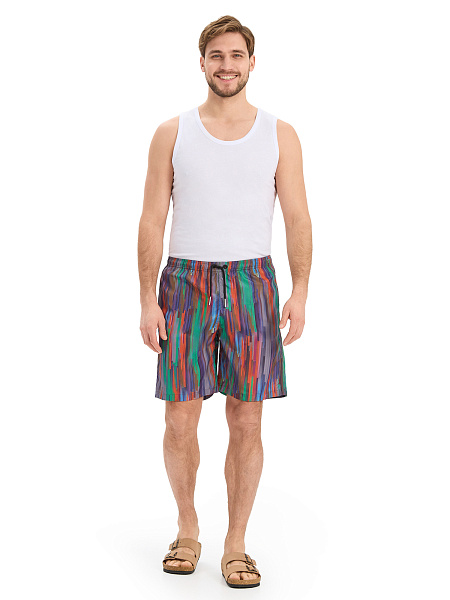 Swimwear Шорты мужские, цвет яркая полоска, фото 1