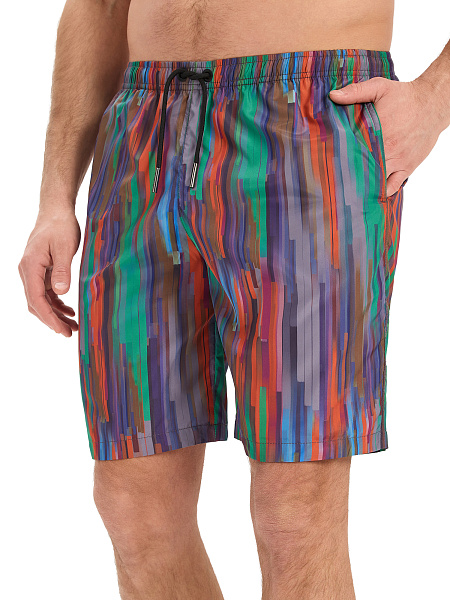 Swimwear Шорты мужские, цвет яркая полоска, фото 4