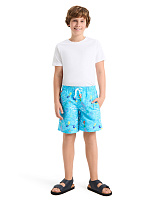 Шорты Swimwear для мальчика-подростка Бирюзовый