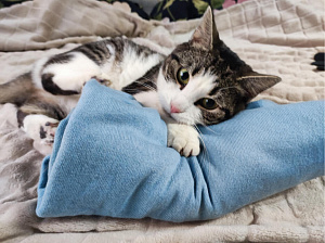 Фото из отзыва 25