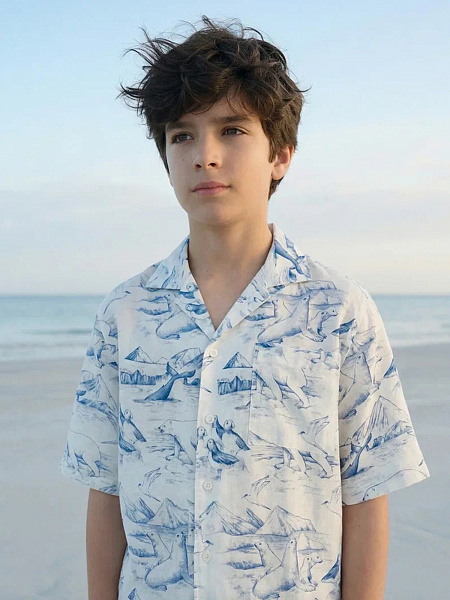  LINEN Рубашка для мальчика с коротким рукавом, цвет паттерн arctic, фото 4