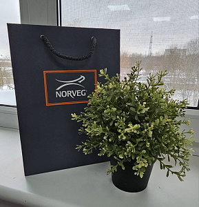 Фотография из отзыва