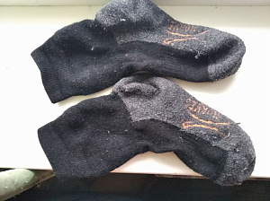 Фотография из отзыва