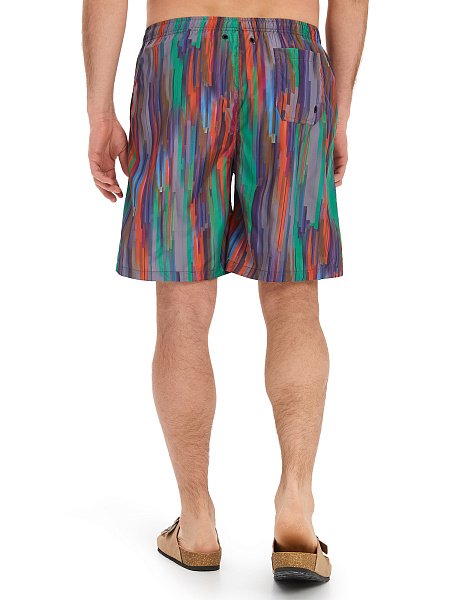 Swimwear Шорты мужские, цвет яркая полоска, фото 3