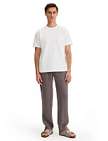 Брюки из 100% льна для мужчин Серый