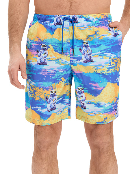 Swimwear Шорты мужские, цвет голубой паттерн медведи, фото 4